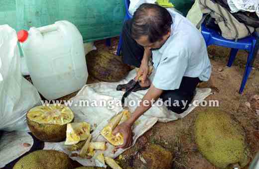 Jackfruit 
